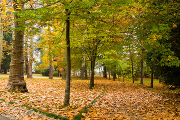 Park and garden in Tsinandali, Georgia