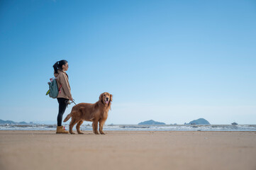 Golden Retriever accompanies its owner on the beach