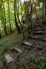 Escalera de madera en un bosque