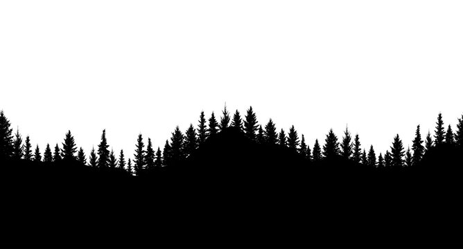 Silhouette of forest. Seamless forest on hills. Beautiful trees are separated from each other. Vector illustration.