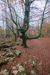 Monte Santiago (Burgos)