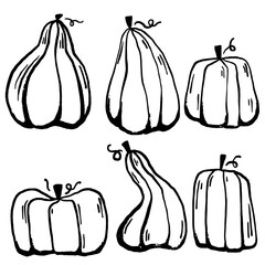 Hand drawn vector clip art of pumpkin. Coloring book page for Halloween. Coloring page. Black and White Cartoon Illustration.
