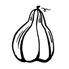 Hand drawn vector clip art of pumpkin. Coloring book page for Halloween. Coloring page. Black and White Cartoon Illustration.