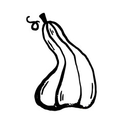 Hand drawn vector clip art of pumpkin. Coloring book page for Halloween. Coloring page. Black and White Cartoon Illustration.