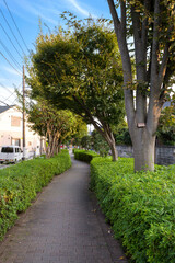 東用水せせらぎ通り（東京都葛飾区細田）