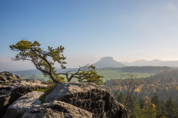 Blick auf Lilienstein von Bärenstein aus  © cstirit