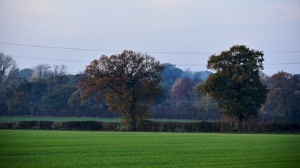Autumn landscape with trees in the fields, England, UK, November