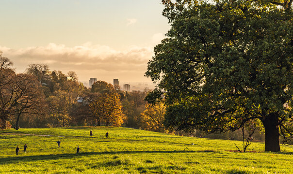 Beautifil view from Hampstead Heat medows in London, UK