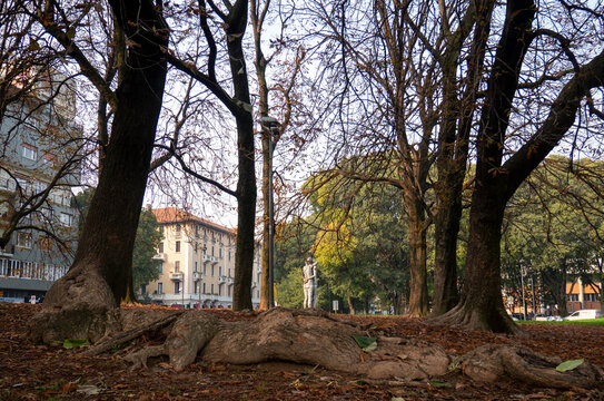 Un abbraccio allieta gli animi