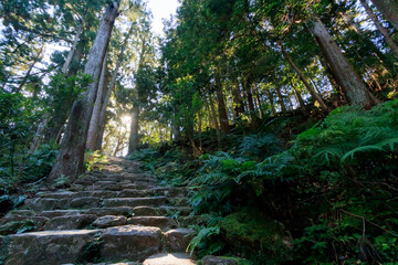 熊野那智大社と那智の滝を結ぶ道　和歌山県那智勝浦町