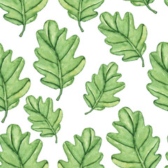 Seamless pattern of green oak leaves on white background. Watercolor hand drawing illustration. Perfect for foliage digital paper, wallpaper, print, fabric, card. Cute floral design.