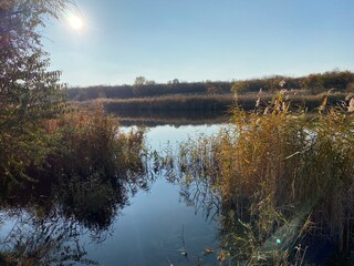 Scene lake. Fishing spot background. Autumn river landscape. Autumn river and clear blue sky.