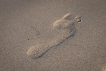 Fototapeta na wymiar High angle shot of a person's footprint on a wet sandy ground