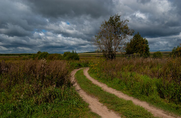 Fototapeta na wymiar A country road leads to endless fields, tall grasses. Stormy sky, rushing clouds. Floodplain of the Nerl River, Vladimir region. Russia.
