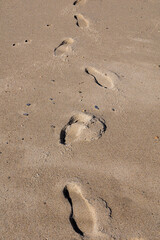 Fototapeta na wymiar pas sur le sable de la plage sud de france