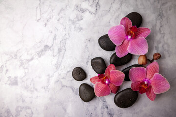 spa stones and pink orchid flowers on white marble background. top view copy space