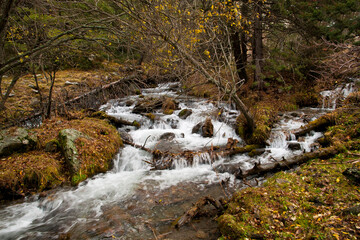 torrent d'eau vive dans la montagne catalane