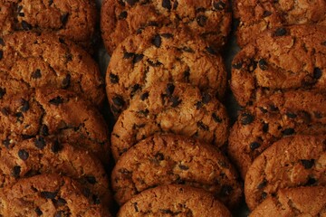 Delicious oatmeal cookies with chocolate on the table
