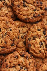 Delicious oatmeal cookies with chocolate on the table