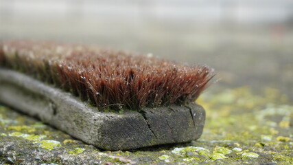 Old brush