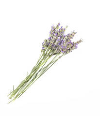 Fototapeta premium bouquet de thym sur fond blanc plante aromatique