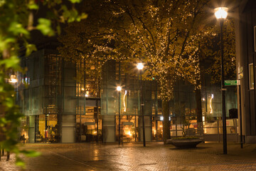 Zwolle Inner City Night 