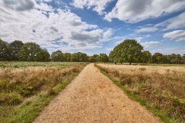 photography of a road in the field