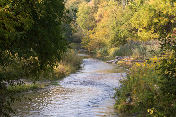 Gently flowing section for the Bowmanville Creek, Ontario