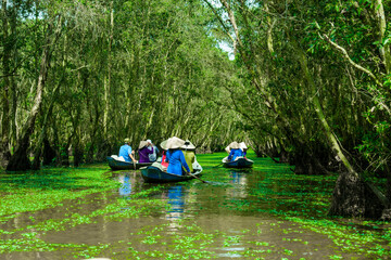 Sailing boat in Tra Su flooded indigo forest trees, a preserved forest in the Mekong Delta. Located...