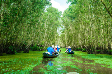 Sailing boat in Tra Su flooded indigo forest trees, a preserved forest in the Mekong Delta. Located...