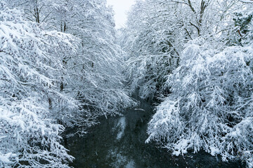 Bayas or Baias River, Gorbeia Natural Park, Alava, Basque Country, Spain, Europe