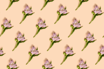 Alstroemeria flowers pattern on a beige background. Springtime floral concept.