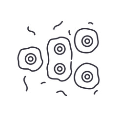 Cell division concept icon, linear isolated illustration, thin line vector, web design sign, outline concept symbol with editable stroke on white background.