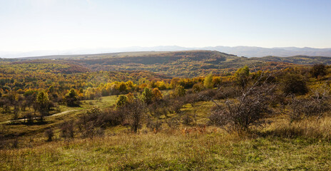 Fototapeta premium Autumn landscape
