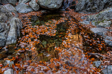The beautiful autumn coloe of mountain stream.