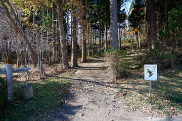 下田公園キャンプ場への道