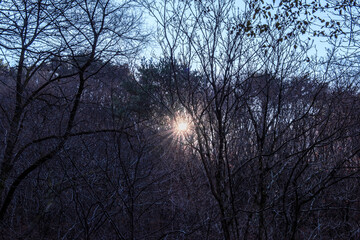 The landscape of autumn tree background blue sky.