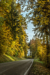 Fototapeta na wymiar Straße gesaeumt von Herbstlichen Farben