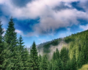 Misty mountain landscape