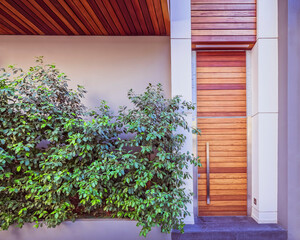 modern house facade and  entrance natural wood door with green foliage by the sidewalk