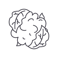 Cauliflower icon, linear isolated illustration, thin line vector, web design sign, outline concept symbol with editable stroke on white background.