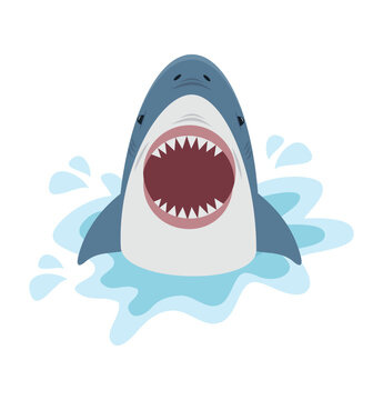 Cute shark with open mouth Vector illustration
