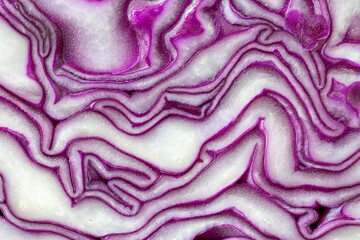 close up texture of purple cabbage