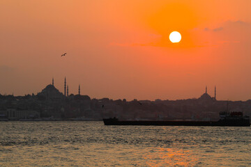 The Maiden's Tower is a structure built on a small islet in Salacak offshore, near the Marmara Sea...