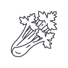 Celery icon, linear isolated illustration, thin line vector, web design sign, outline concept symbol with editable stroke on white background.