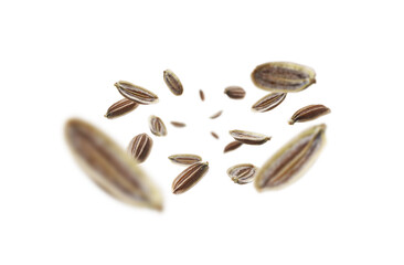 Dill seeds levitate on a white background