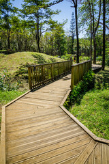 Wooden footbridge of Anse des Cascades on Reunion Island