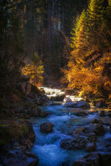 Wildbach Ramsauer Ache ist der Abluß des Hintersee bei Ramsau im Nationonalpark Berchtesgadener...