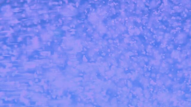 White Particles, Snow, Glitter, Dust Falling Down On Blue Chroma Key Background