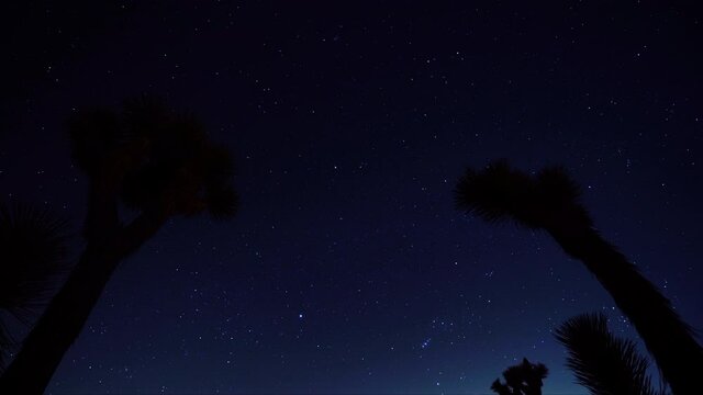 Astrolapse in Joshua Tree National Park